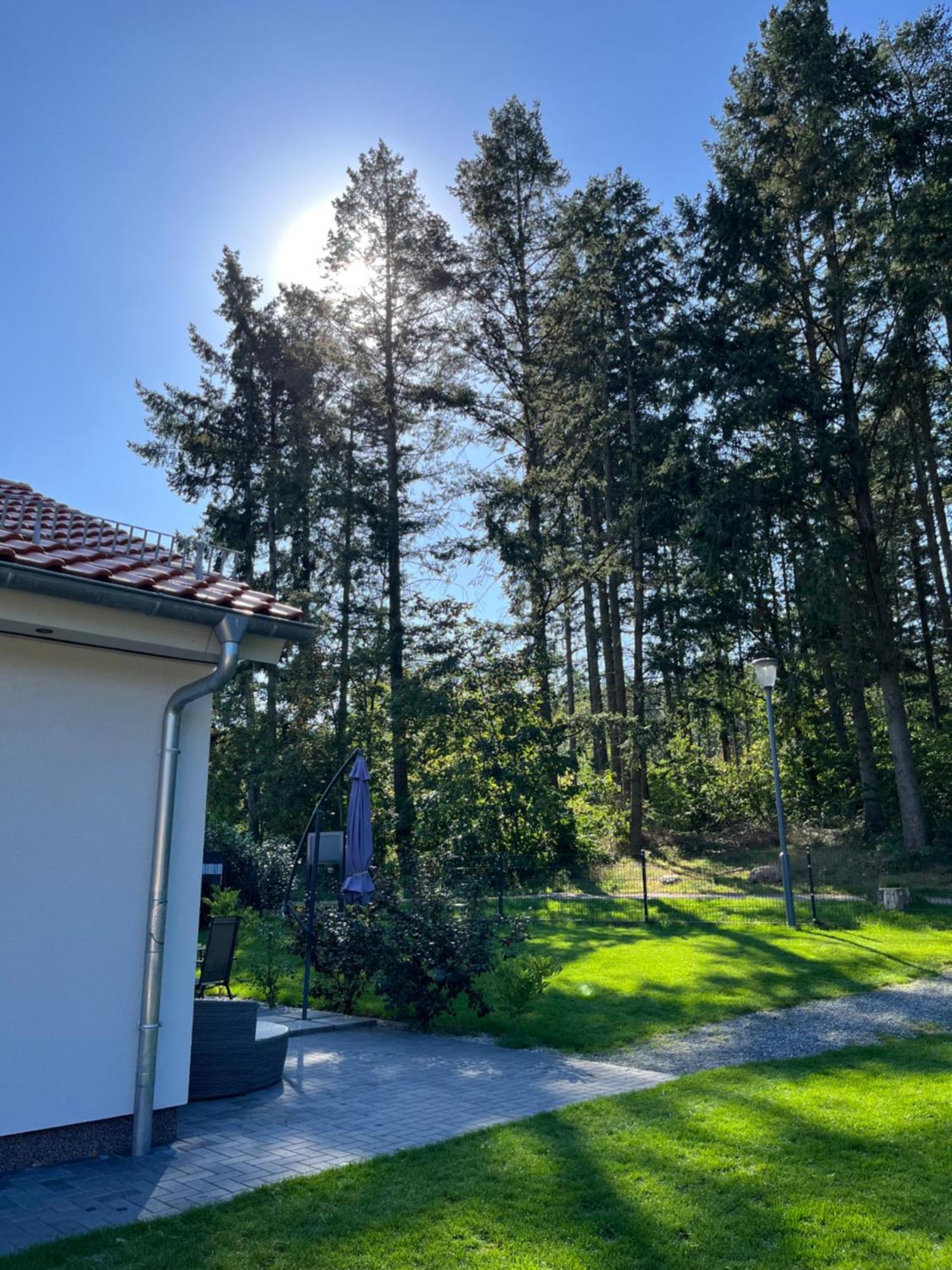Ferienhaus Hinz Darlingerode Luaran gambar